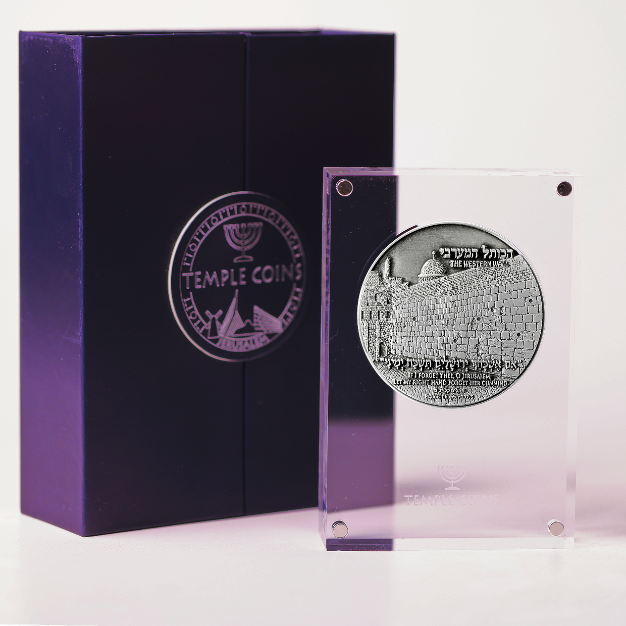 Jerusalem Vow - Western Wall Coin