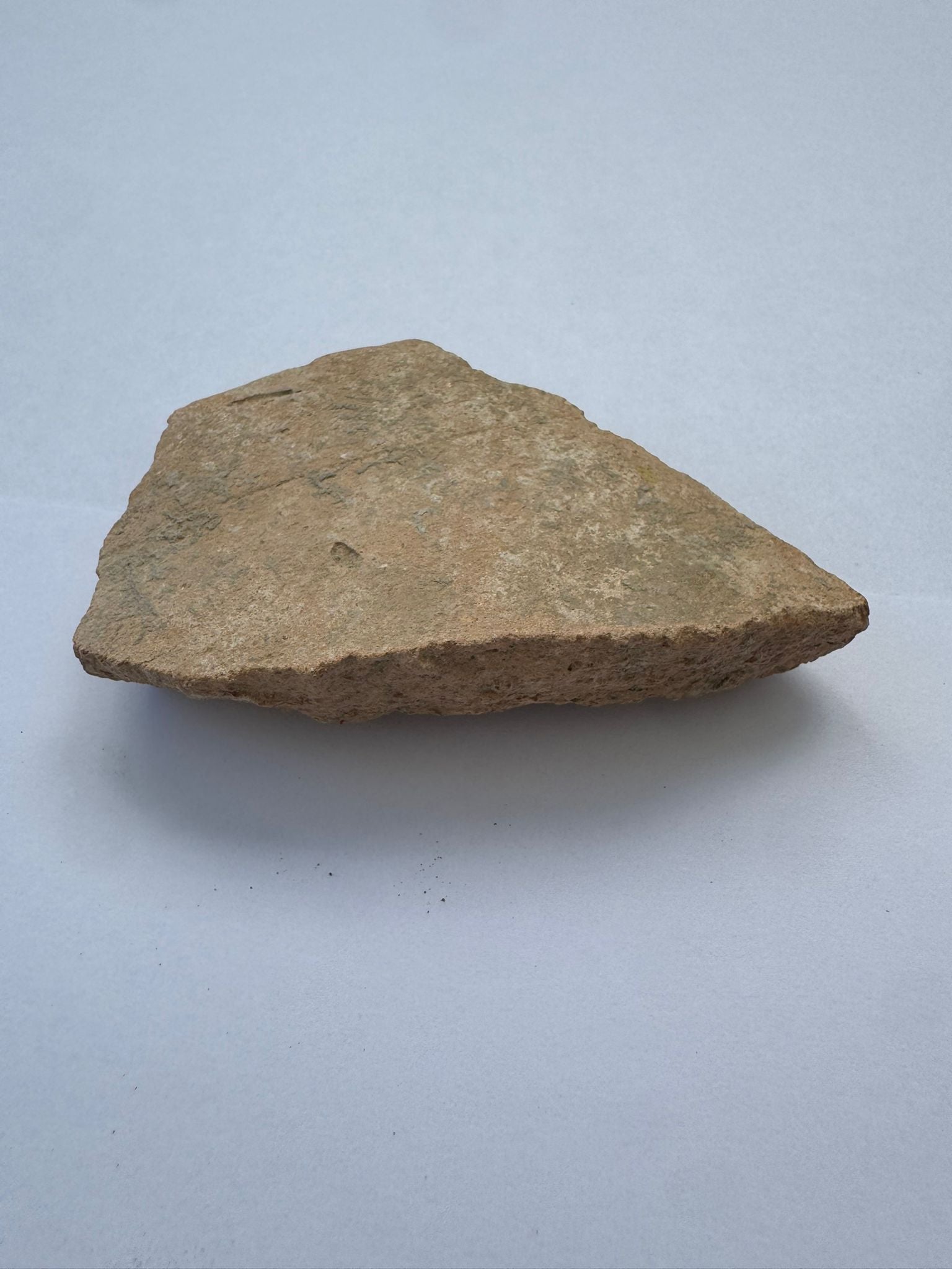 Shiloh Pottery Shard