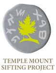 Temple Mount Sifting Project