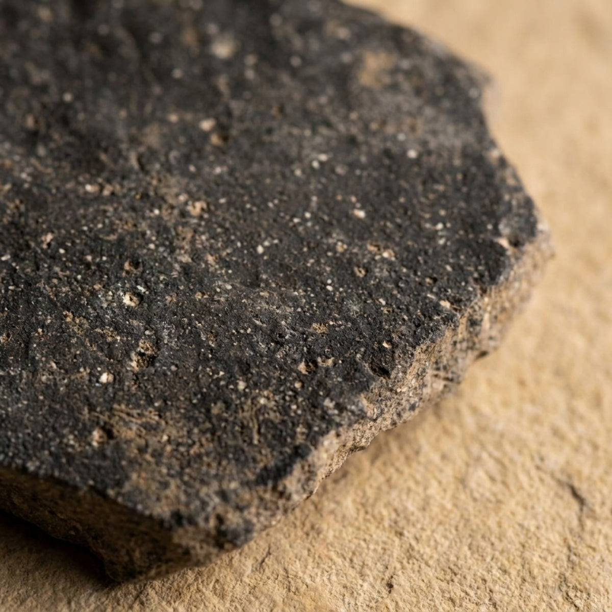 Close-up of the dark gritty cooking ware clay and broken edge of a Roman period shard from Shiloh